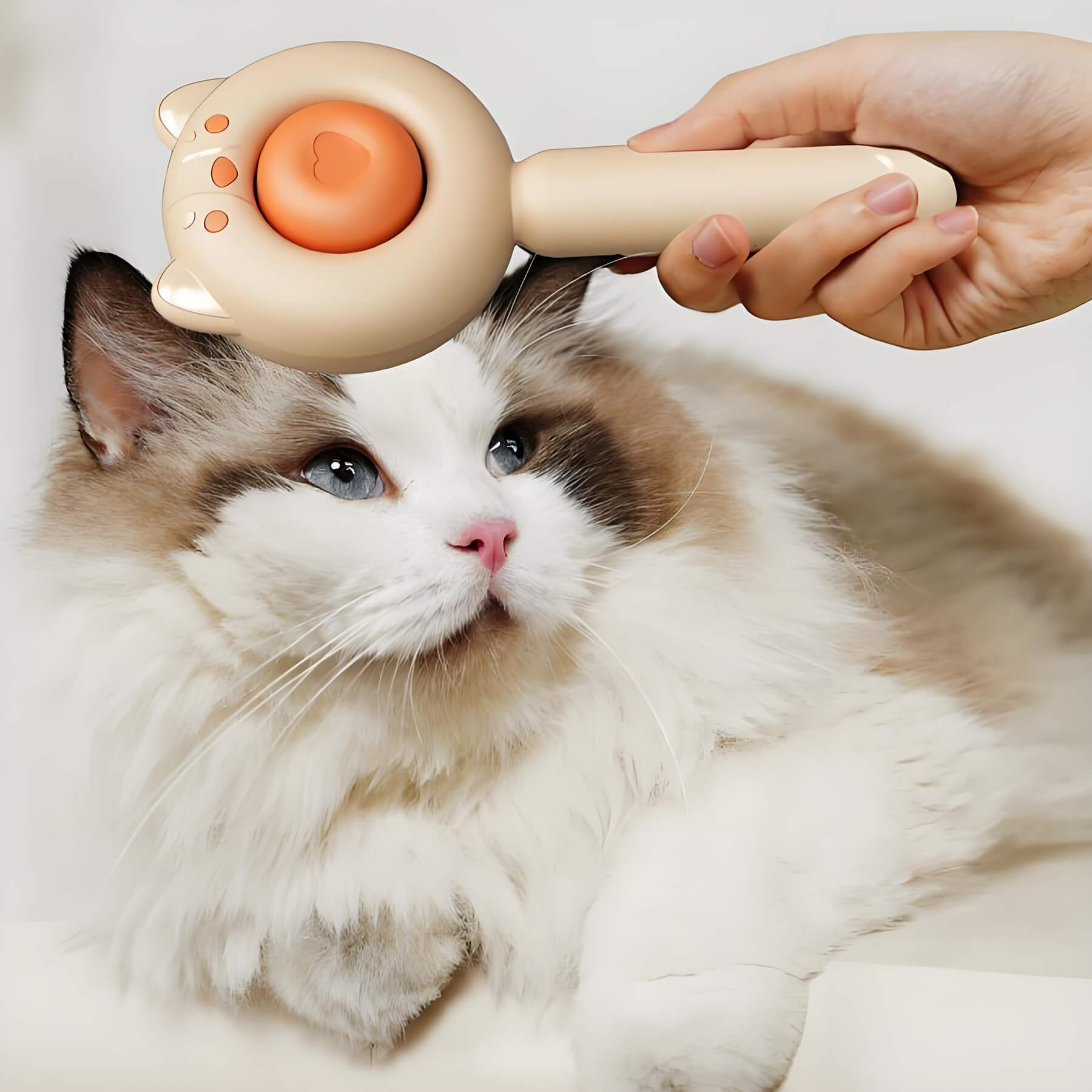 this pet brush works well on cats with long hair